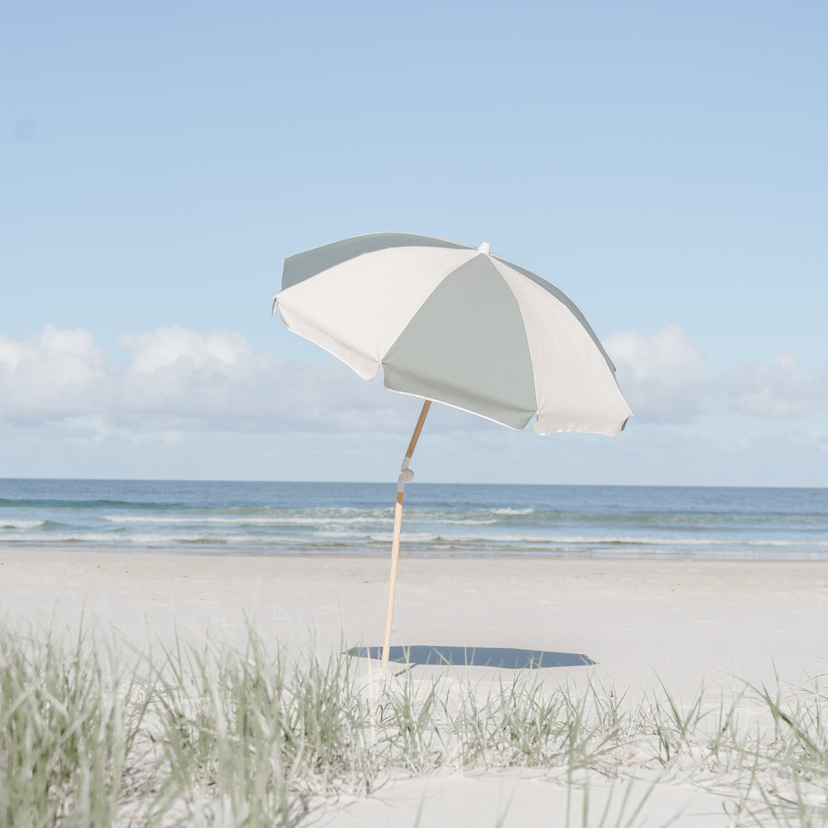 Tallow Splice Beach Umbrella with green and off-white panels beyond dune grass