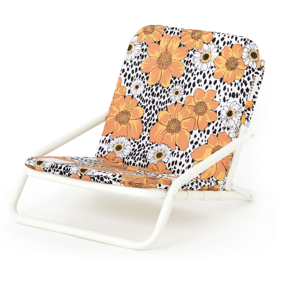 Animal Kingdom Beach Chair